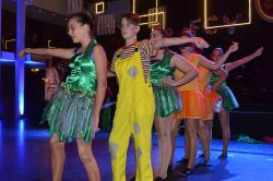 Die Galanacht des FCV 2020