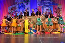 FCV Prunksitzung 2020