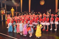 Die Große Galanacht des FCV 2025 -Ritter von der Hobelbank-