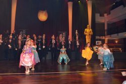 Die Große Galanacht des FCV 2025 -Ritter von der Hobelbank-