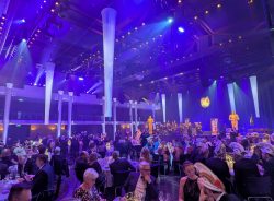 Die Große Galanacht des FCV 2025 -Ritter von der Hobelbank-