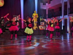 Die Große Galanacht des FCV 2025 -Ritter von der Hobelbank-