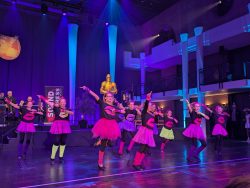 Die Große Galanacht des FCV 2025 -Ritter von der Hobelbank-