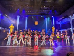 Die Große Galanacht des FCV 2025 -Ritter von der Hobelbank-