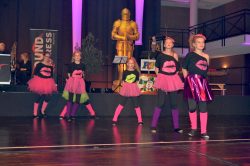 Die Große Galanacht des FCV 2025 -Ritter von der Hobelbank-