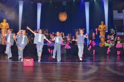 Die Große Galanacht des FCV 2025 -Ritter von der Hobelbank-