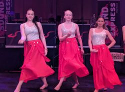 Die Große Galanacht des FCV 2025 -Ritter von der Hobelbank-