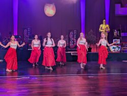 Die Große Galanacht des FCV 2025 -Ritter von der Hobelbank-