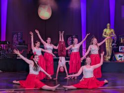 Die Große Galanacht des FCV 2025 -Ritter von der Hobelbank-