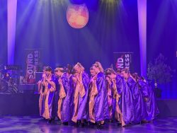 Die Große Galanacht des FCV 2025 -Ritter von der Hobelbank-