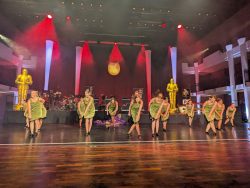 Die Große Galanacht des FCV 2025 -Ritter von der Hobelbank-